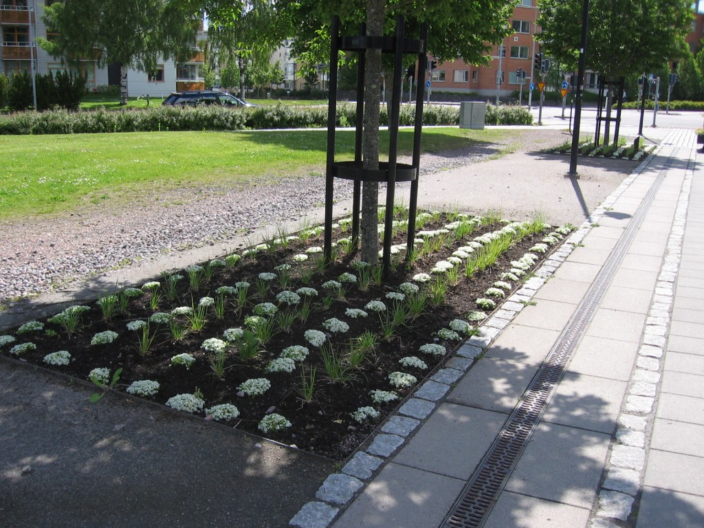 Plantering vid Arena Skövde
