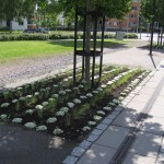 Plantering vid Arena Skövde