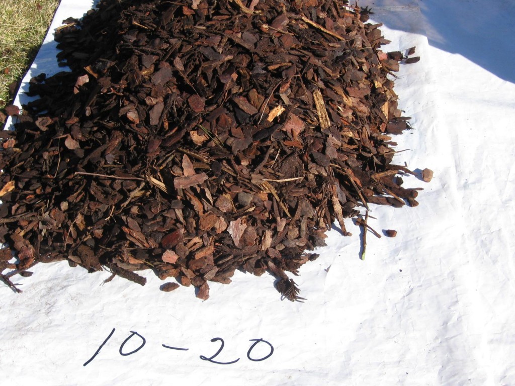 Bark-3